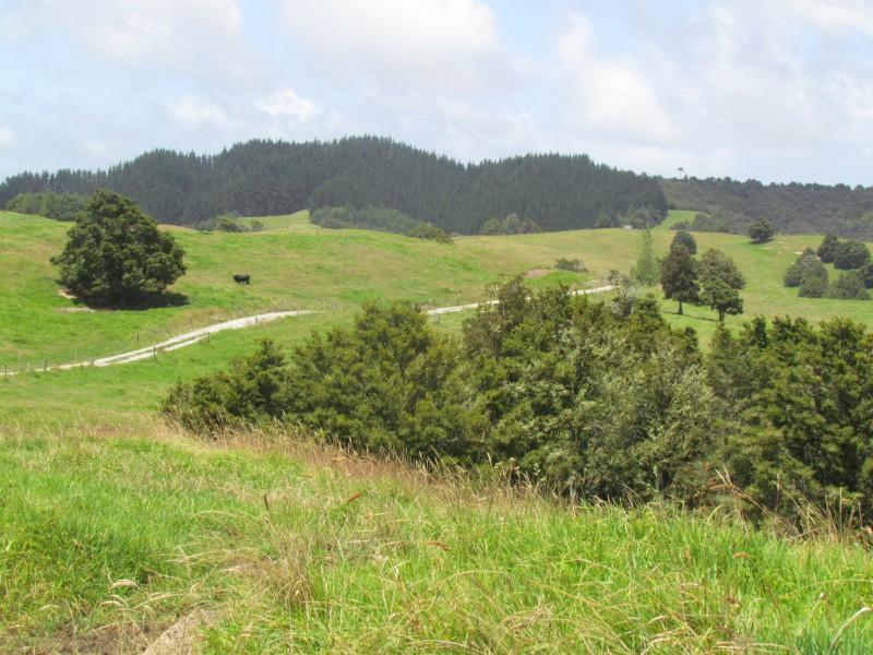 79 Taylor Road, Otamatea Surrounds, Kaipara, 0房, 0浴