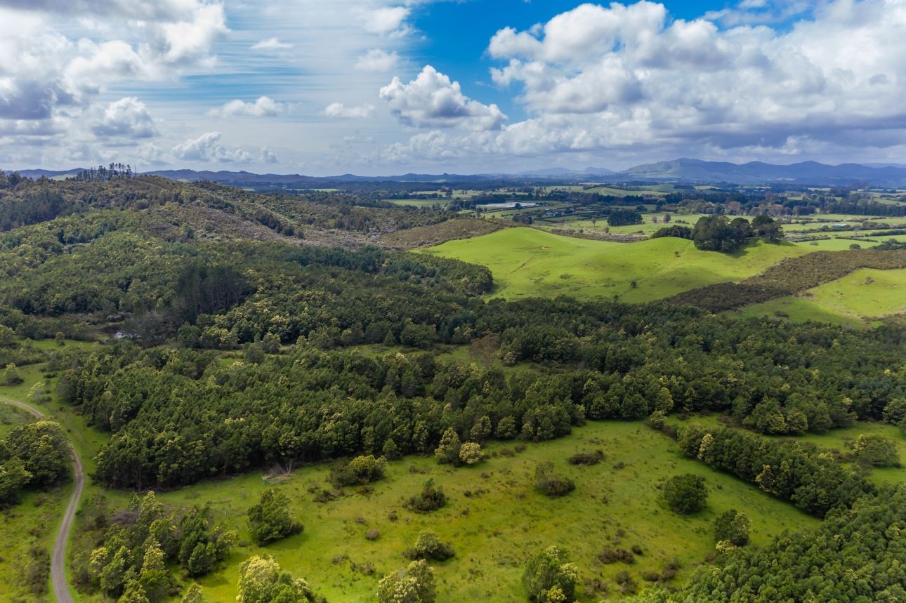 80a Jordan Road, Kaikohe, Far North, 2 rūma, 1 rūma horoi, Forestry