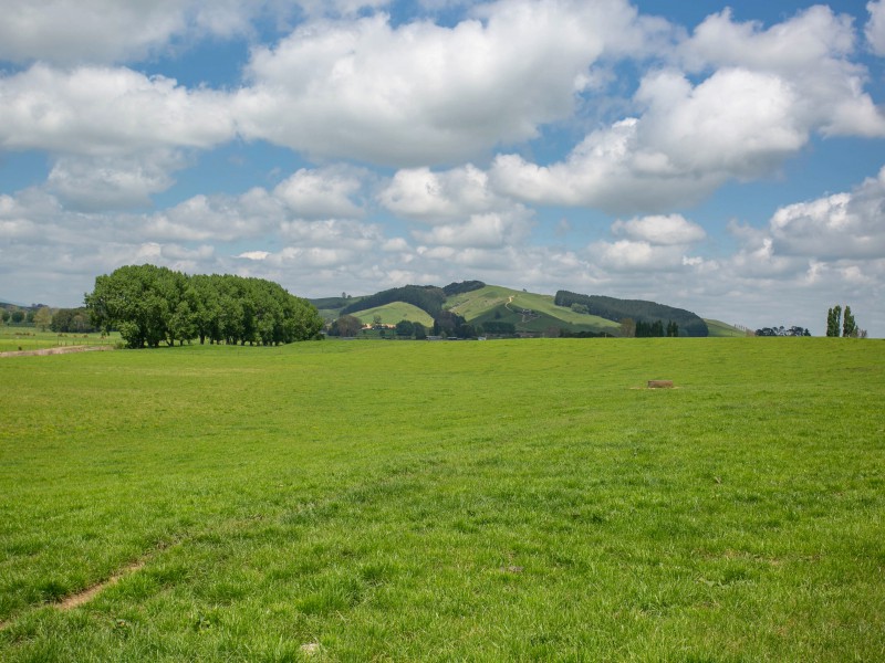 459 Te Kawa Road, Te Kawa, Otorohanga, 4房, 0浴