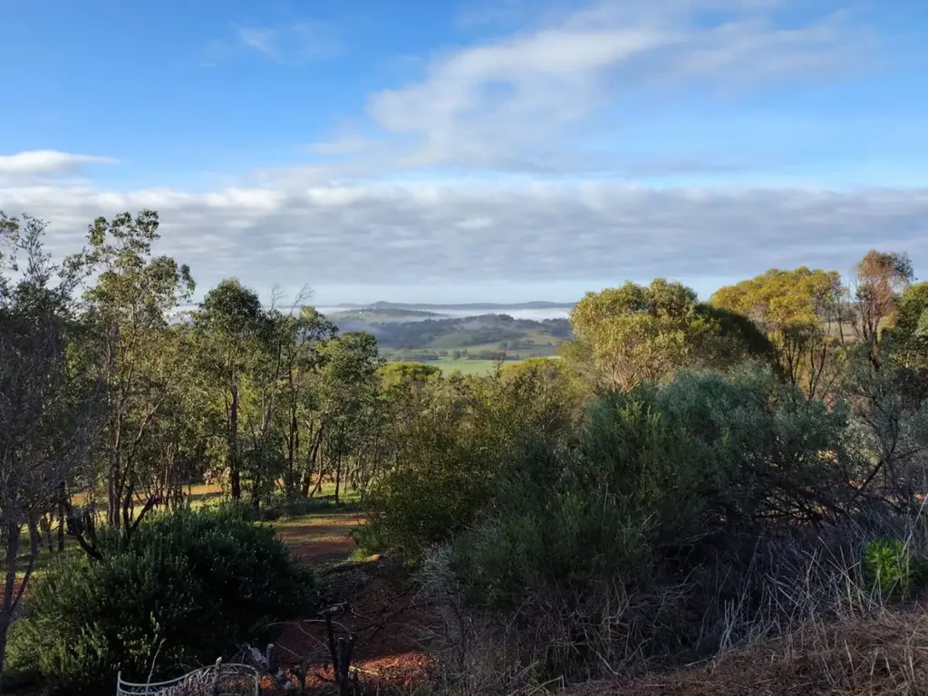 Coondle 3房  Your Private Country Paradise in Coondle ~ 5  Acres, Outstanding Views, Space & Serenity