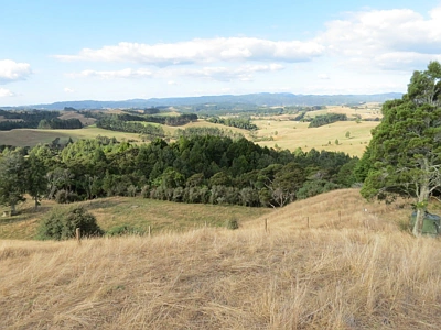 Rural  Rural Production Zone
