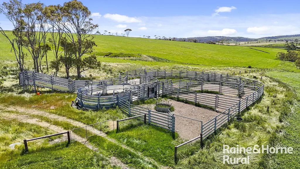 Inman Valley 'Nosworthy' - Premium Breeding & Backgrounding Opportunity on 2 titles of 538-acres.
