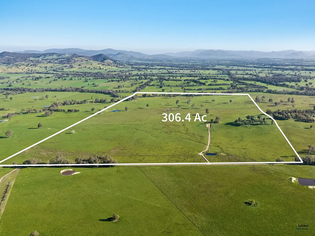 Molyullah 306 Acres of high-capacity Creek Flats in sought after Molyullah
