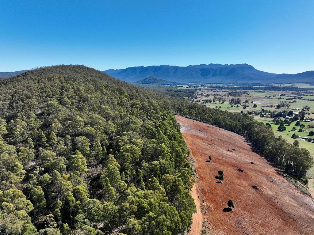 Mole Creek Birds Eye View