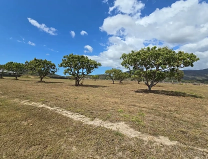 75 Orchard Circuit, Alligator Creek, QLD 4816, 0房, 0浴, Section