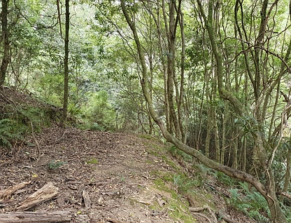LOT CA41A Powers Hill Road, Willung South, Traralagon , 0 Bedrooms, 0 Bathrooms, Section