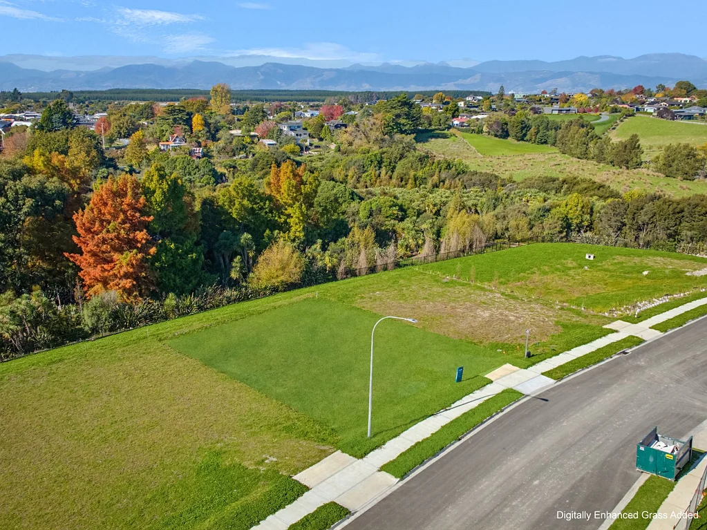 Mapua  Design Your Future on Mount Hope