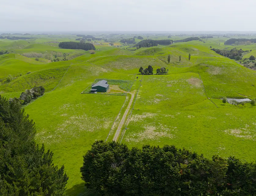 137 Zigzag Road, Pohangina Valley, Pohangina, Manawatu, 0 Kuwarto, 0 Banyo, Lifestyle Section
