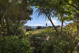 3 Rakau Views, Orewa