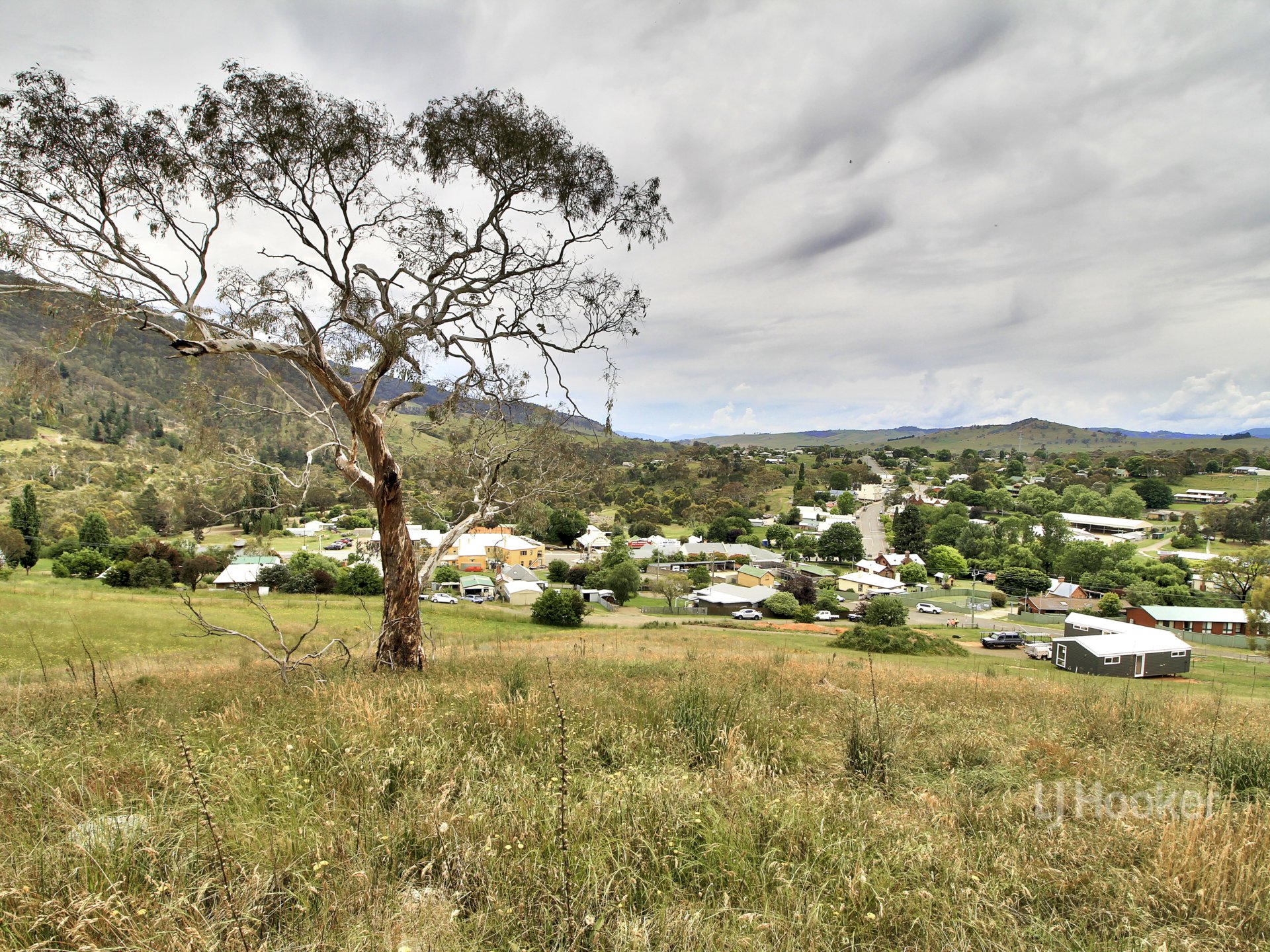 7 WILLS ST, OMEO VIC 3898, 0房, 0浴, Section