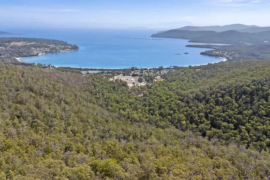 White Beach  Stunning 50-Acre Tasmanian Bushland Parcel!