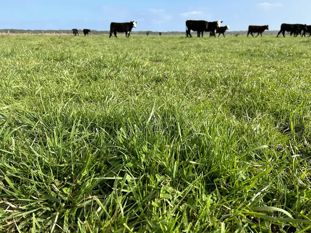 Nora Creina RENOVATED HOME + LOW MANAGEMENT GRAZING