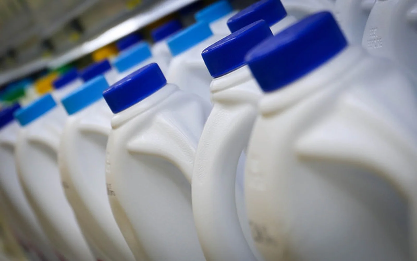 亚洲市场需求略减,乳品拍卖价格迎3月来首次下滑