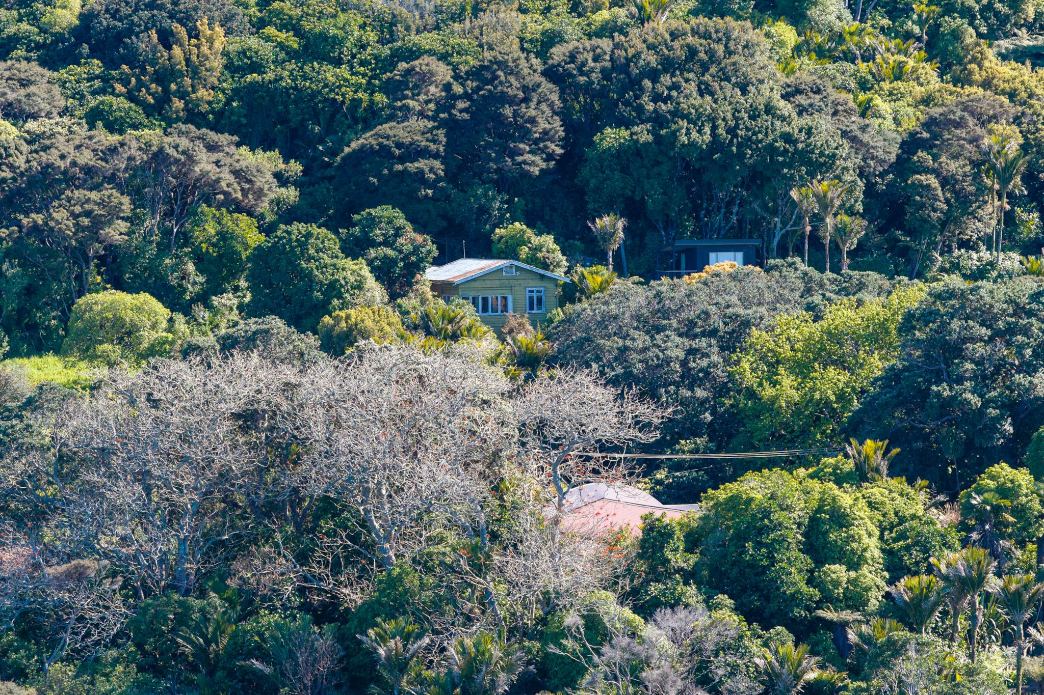 9 Glen Brook Road, Omiha, photo 19