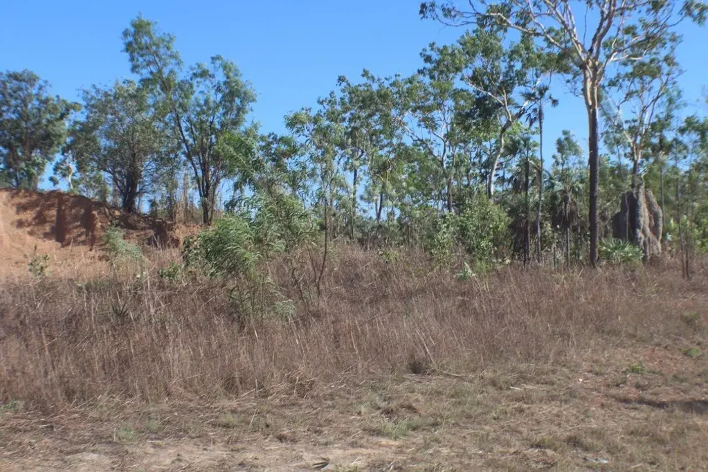 Blackmore 5 Acres with Bore