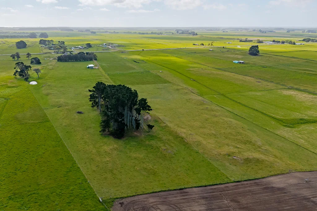 Himatangi  Expansive 11.11 Hectares Ready for Development
