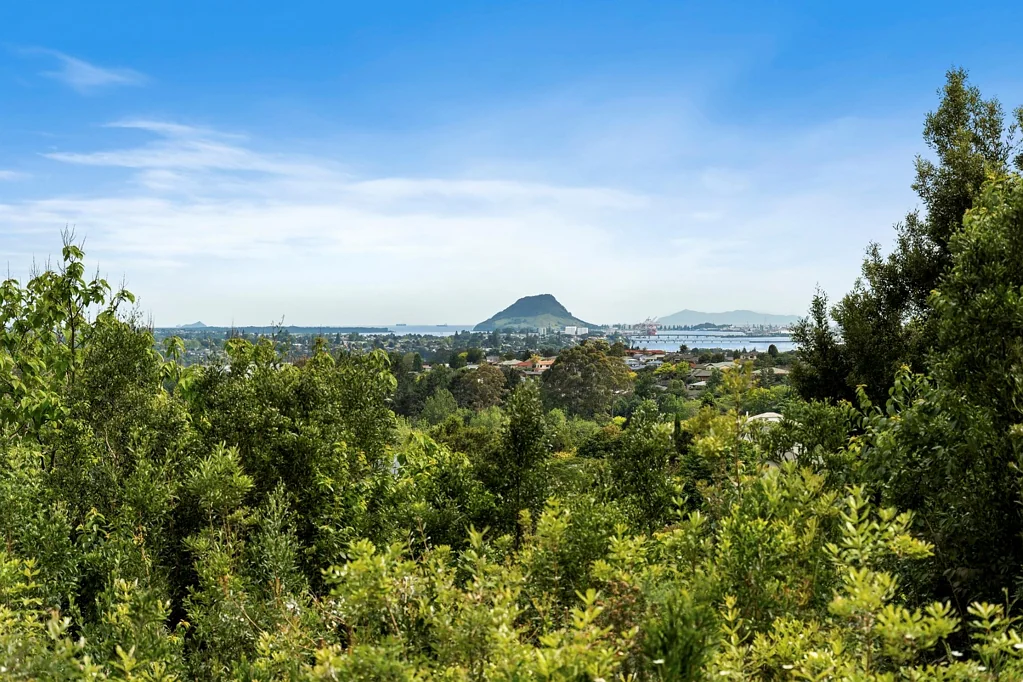 Ohauiti Section with Grand Views