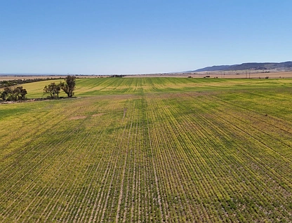 Allotment 78 Augusta Highway, Crystal Brook, Barossa - Yorke - Mid North, 0 habitaciones, 0 baños, Lifestyle Property