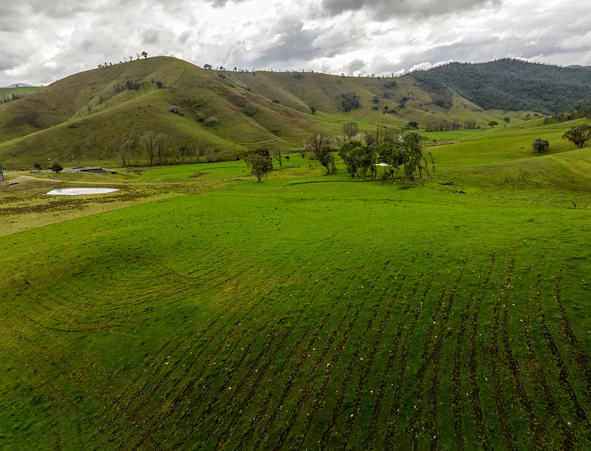 'Rockview' 400 Horse Creek Road, Jingellic, Riverina, 3 રૂમ, 1 બાથરૂમ, Lifestyle Property
