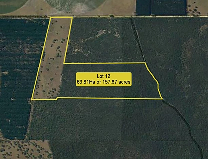 Lot 12 Ellisons Road, Lucindale, South East, 0 Bedrooms, 0 Bathrooms, Section