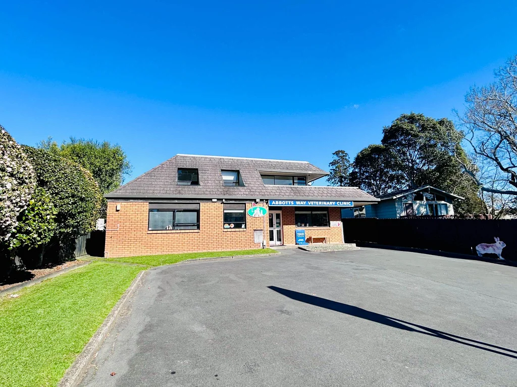 North-Facing 3-Bedroom Unit above the Abbotts ...