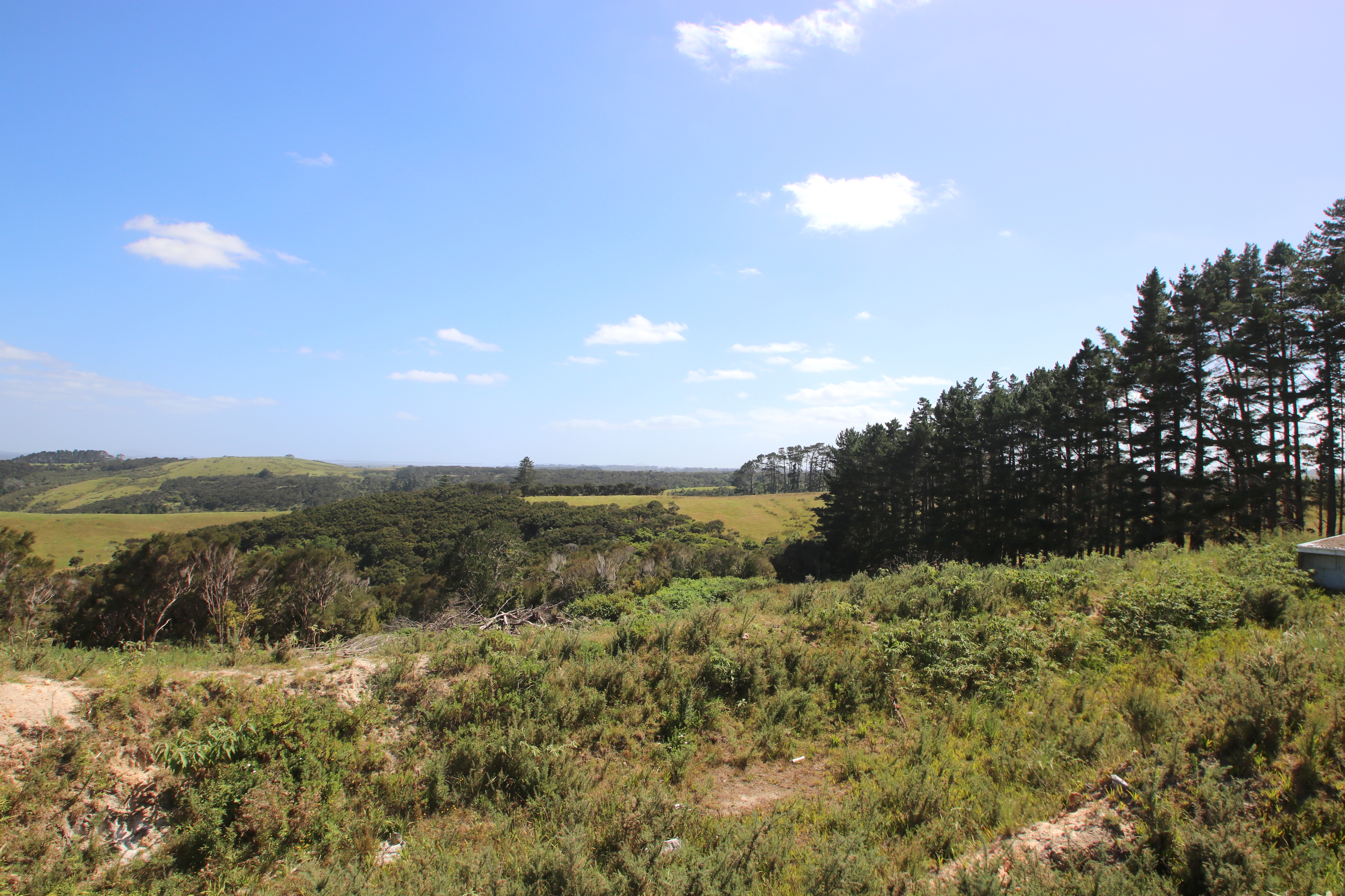 167 Hillcrest Road, Kaitaia, Far North, 3房, 1浴, House