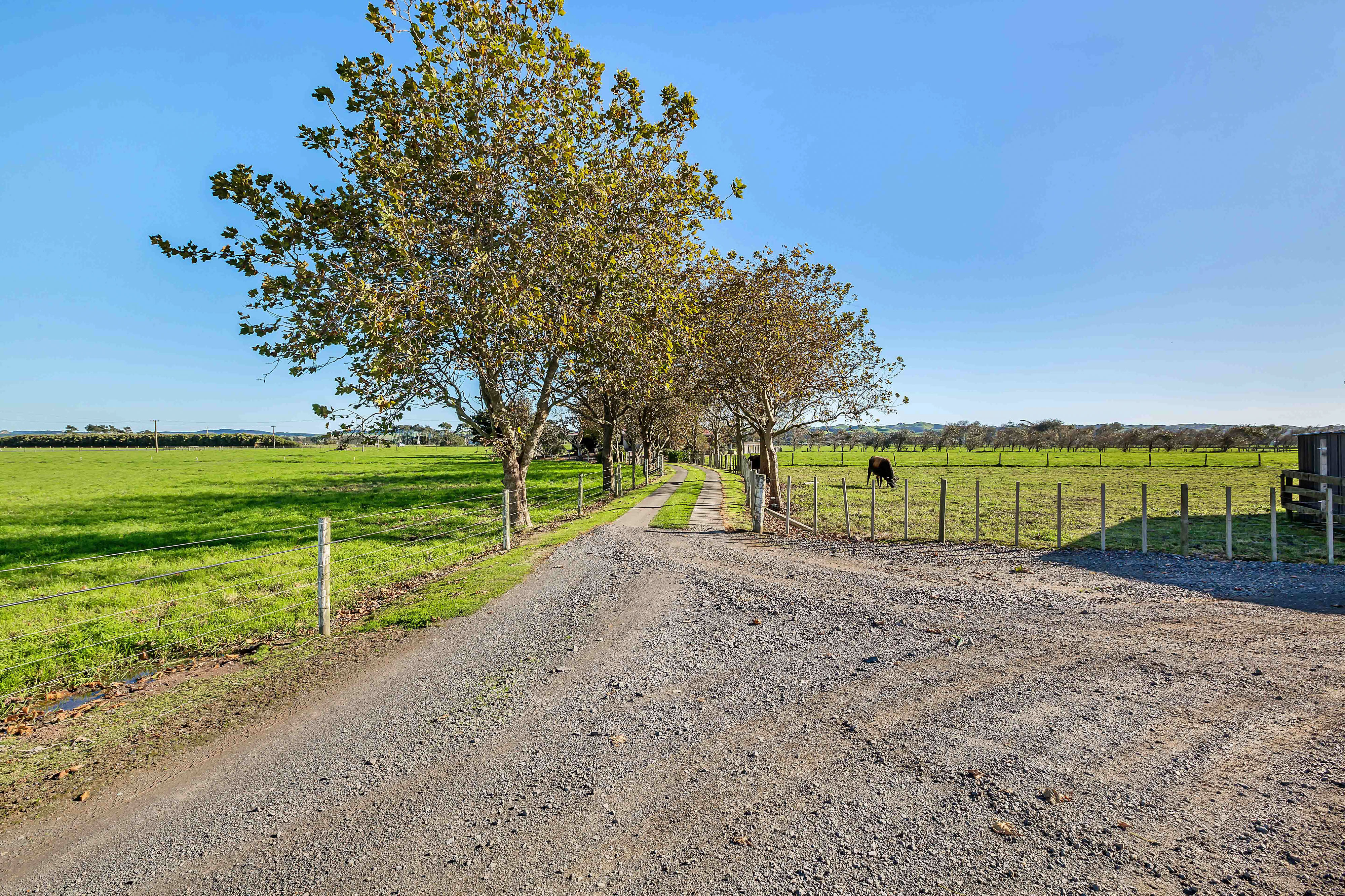 356 Waiuku-Otaua Road, Waiuku, Auckland - Franklin, 0 rūma, 0 rūma horoi