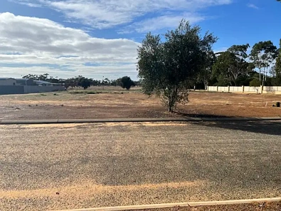 Labas ng Bahay - 5 Haydon Close, Corrigin, WA 6375