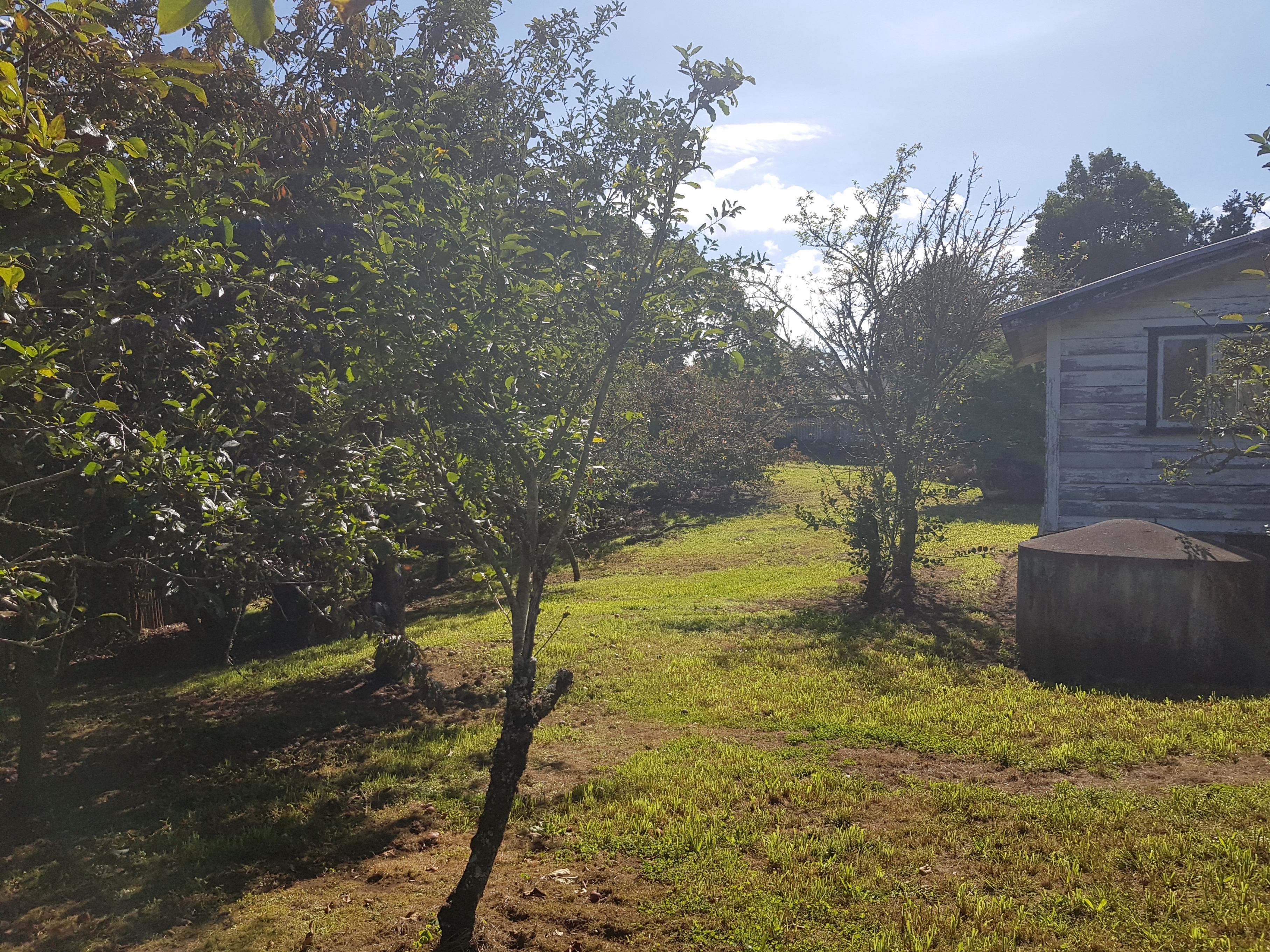 18 Cadman Street, Cheviot, Hurunui, 3 chambres, 0 salles de bain