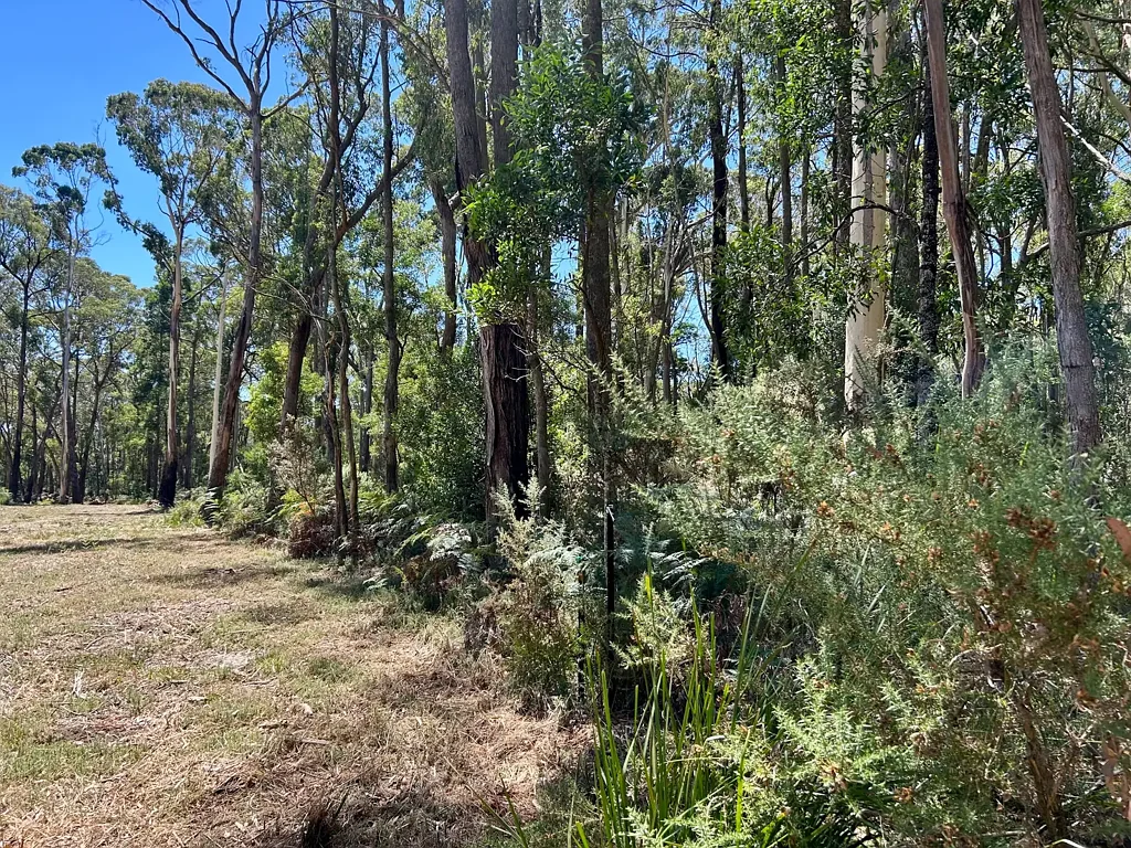 Trentham 5 Acres of Residential Land in Trentham – A Rare Opportunity