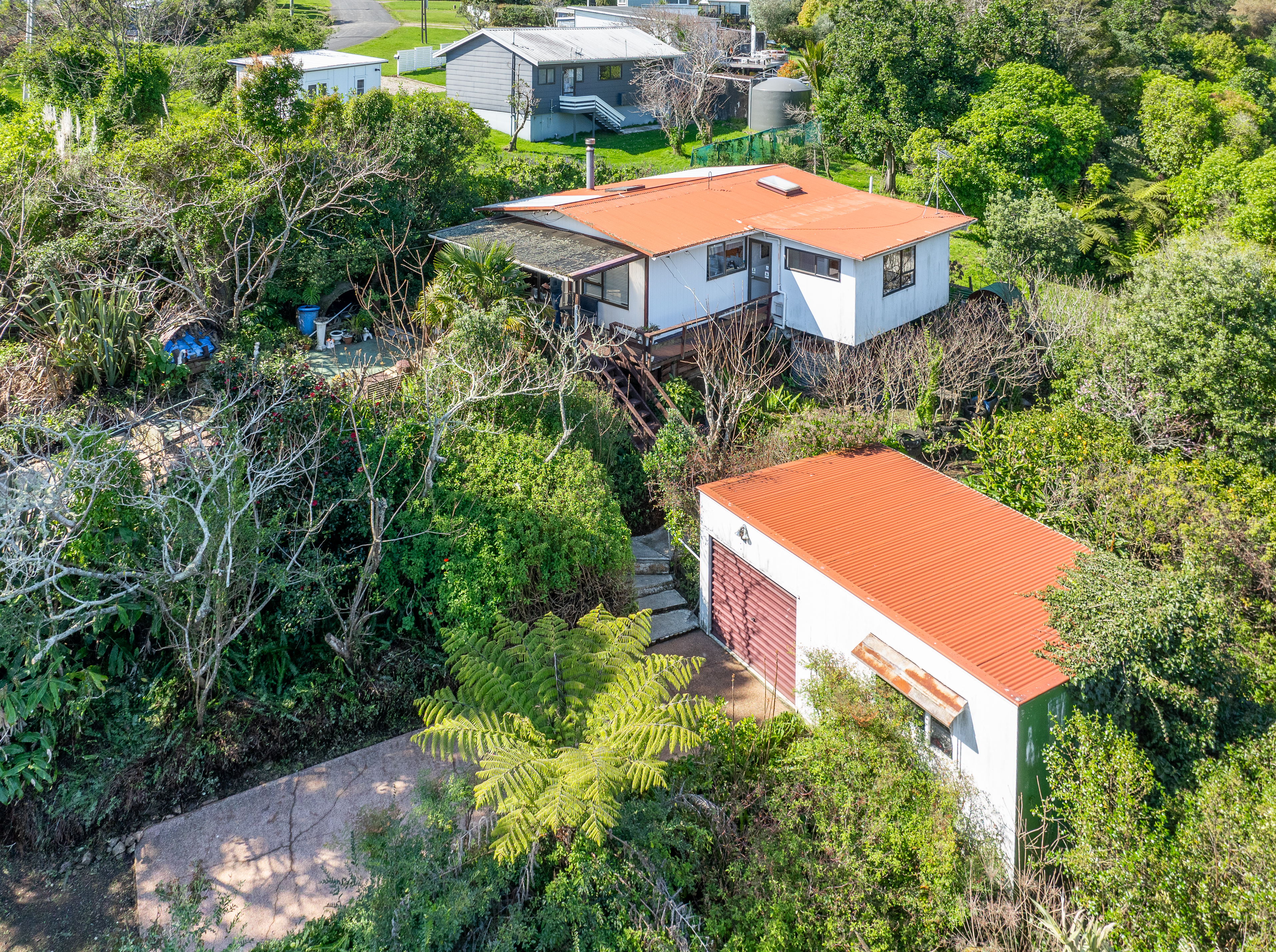 Hauraki Gulf Islands