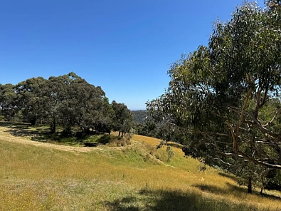 575 Deans Marsh Lorne Road, Deans Marsh, VIC 3235, 0 chambres, 0 salles de bain, Lifestyle Property