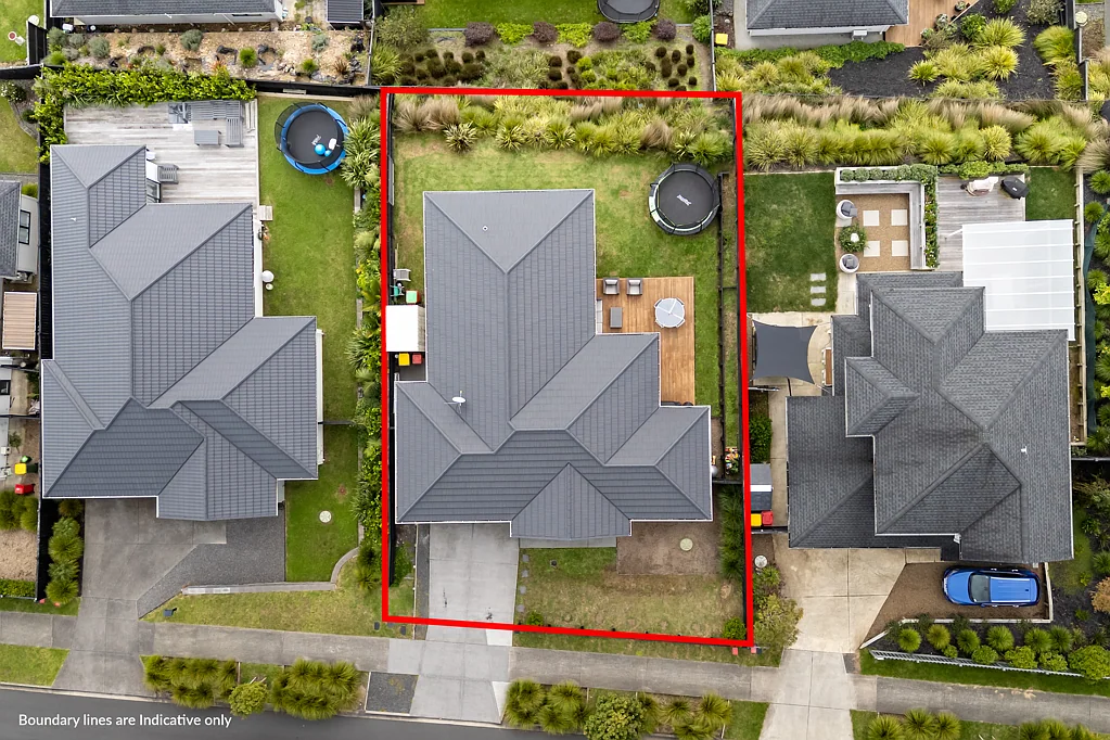 Kumeu 4房  Family Living, But Make It Chic.