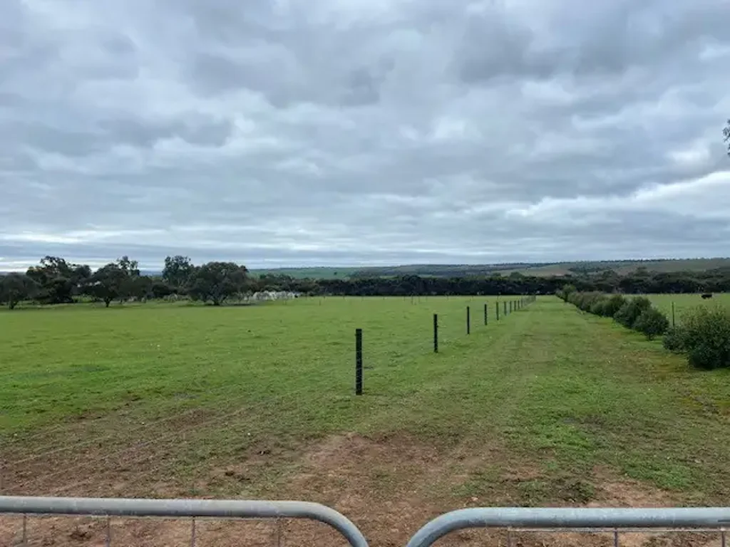 Callington Lifestyle Block