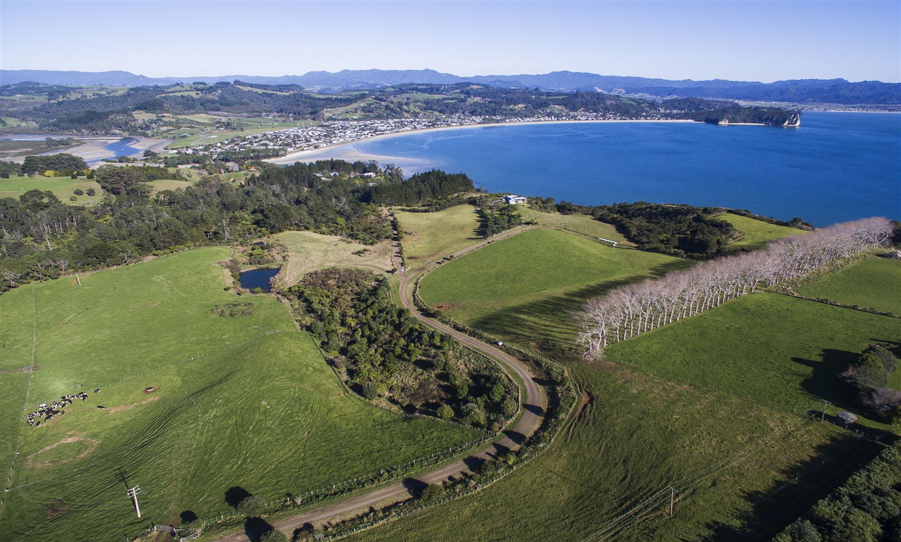 404 Lees Road, Hahei, Coromandel, 0 Schlafzimmer, 0 Badezimmer