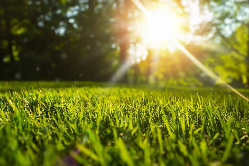 Warnervale Do Not Miss the Final Opportunity to Secure Affordable Land in The Meadows at Warnervale.