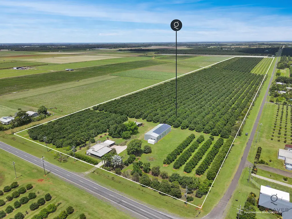 Welcome Creek Established Macadamia Farm on 20 Hectares
