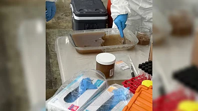 11名华人被捕！奥克兰爆出重大毒品案，现场查出$20万现金、10公斤冰毒！