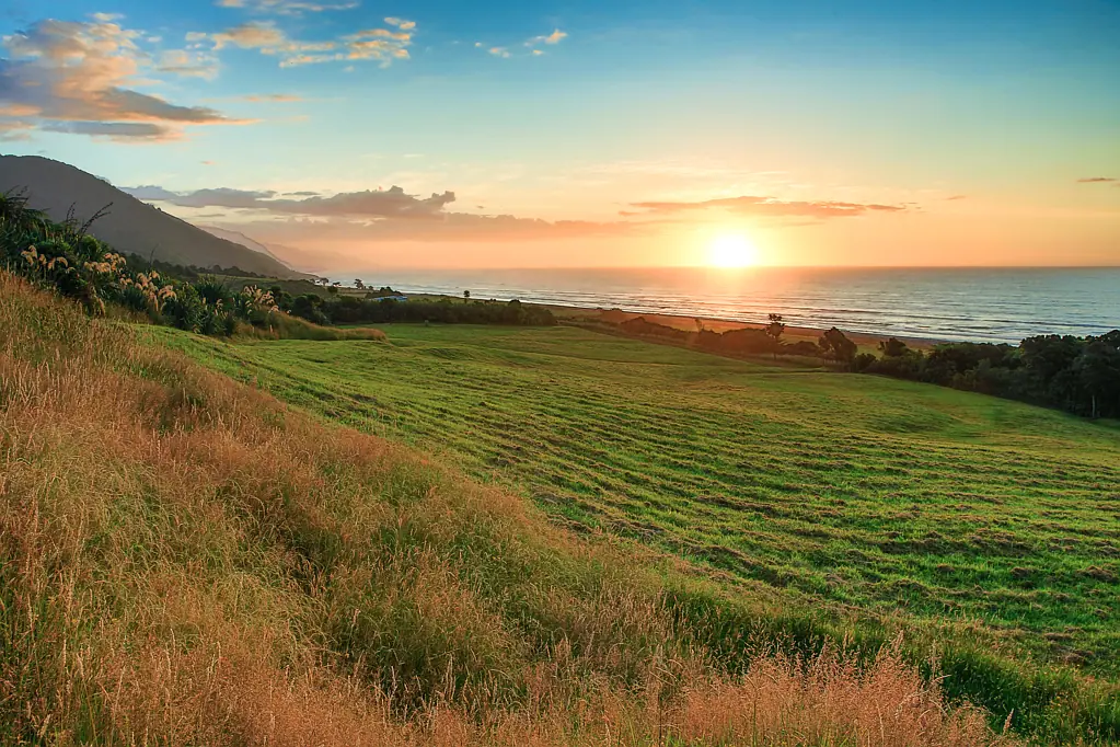 Westport Surrounds Coastal terrace paradise