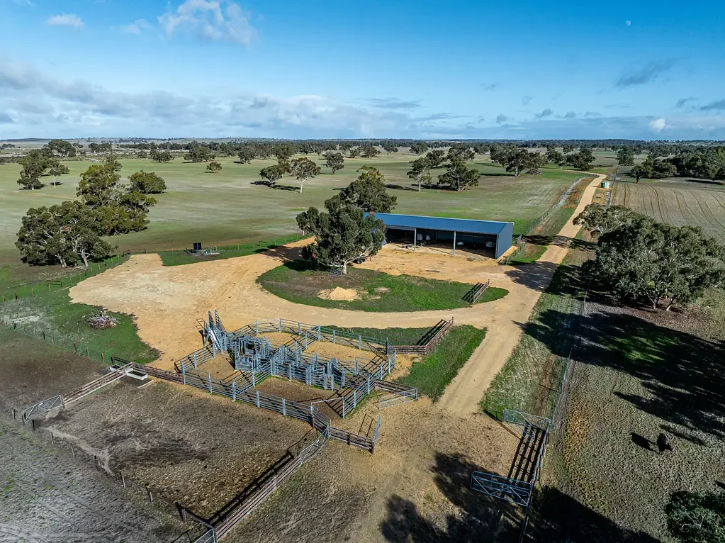 Naracoorte $6,000,000