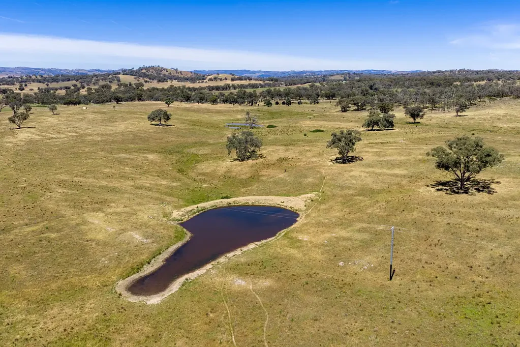 Gulgong  Scale, value and opportunity.