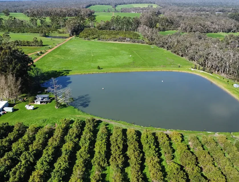 449 Warner Glen Road, Forest Grove, Bunbury, 5房, 3浴, Lifestyle Property