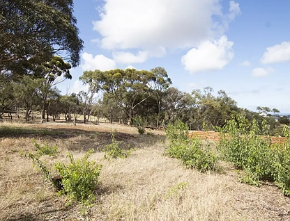 LOT 5,6,13 and 16/31 Sturt Lane, Onkaparinga Hills, Southern Adelaide, 0 phòng ngủ, 0 phòng tắm, Section