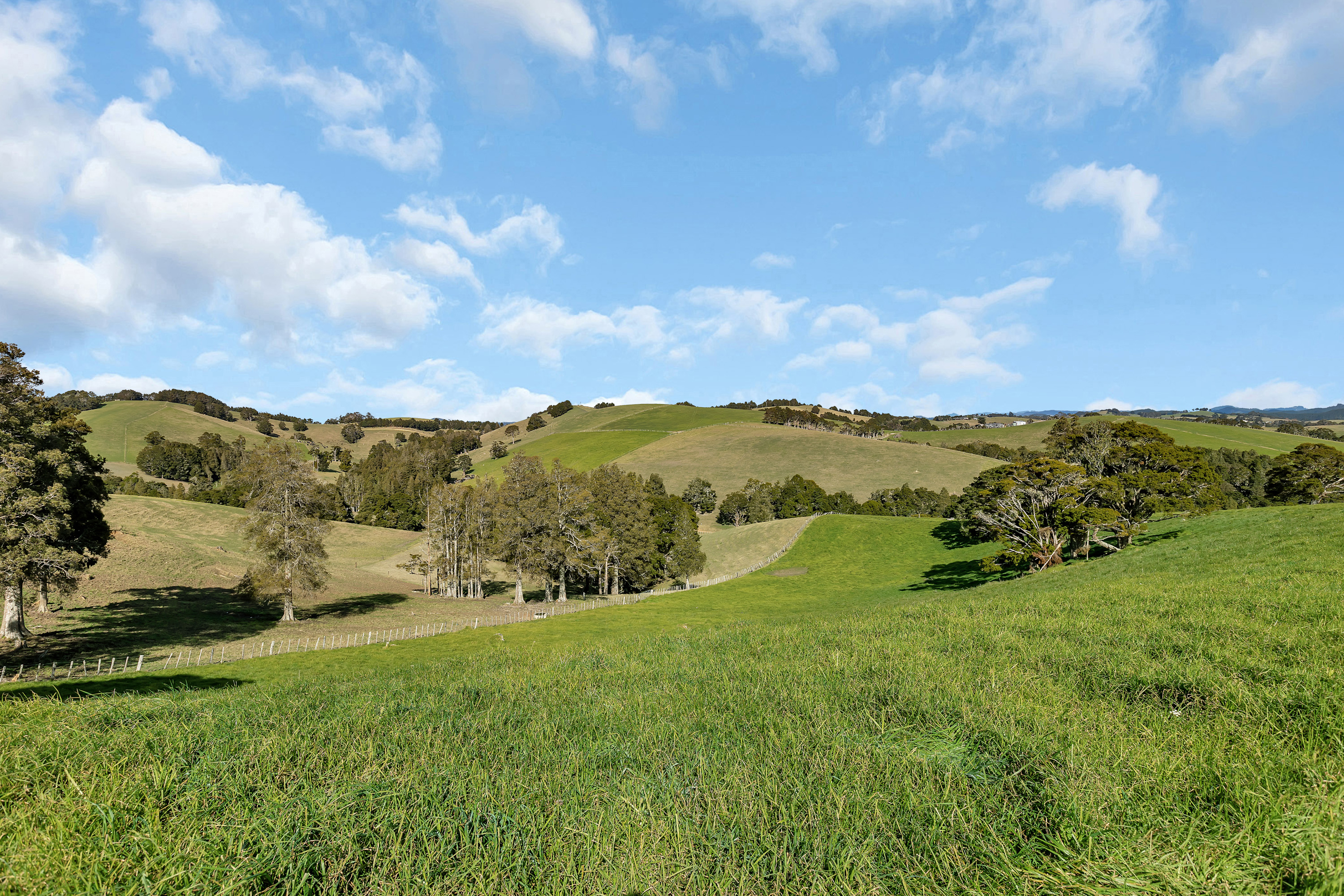 580 Kaiatea Road, Ngunguru, Whangarei, 0 રૂમ, 0 બાથરૂમ, Dairy