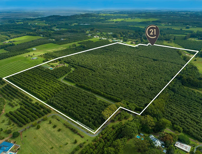 425 Wardell Road, Alstonville, North Coast, 7 Kuwarto, 3 Banyo, Lifestyle Property