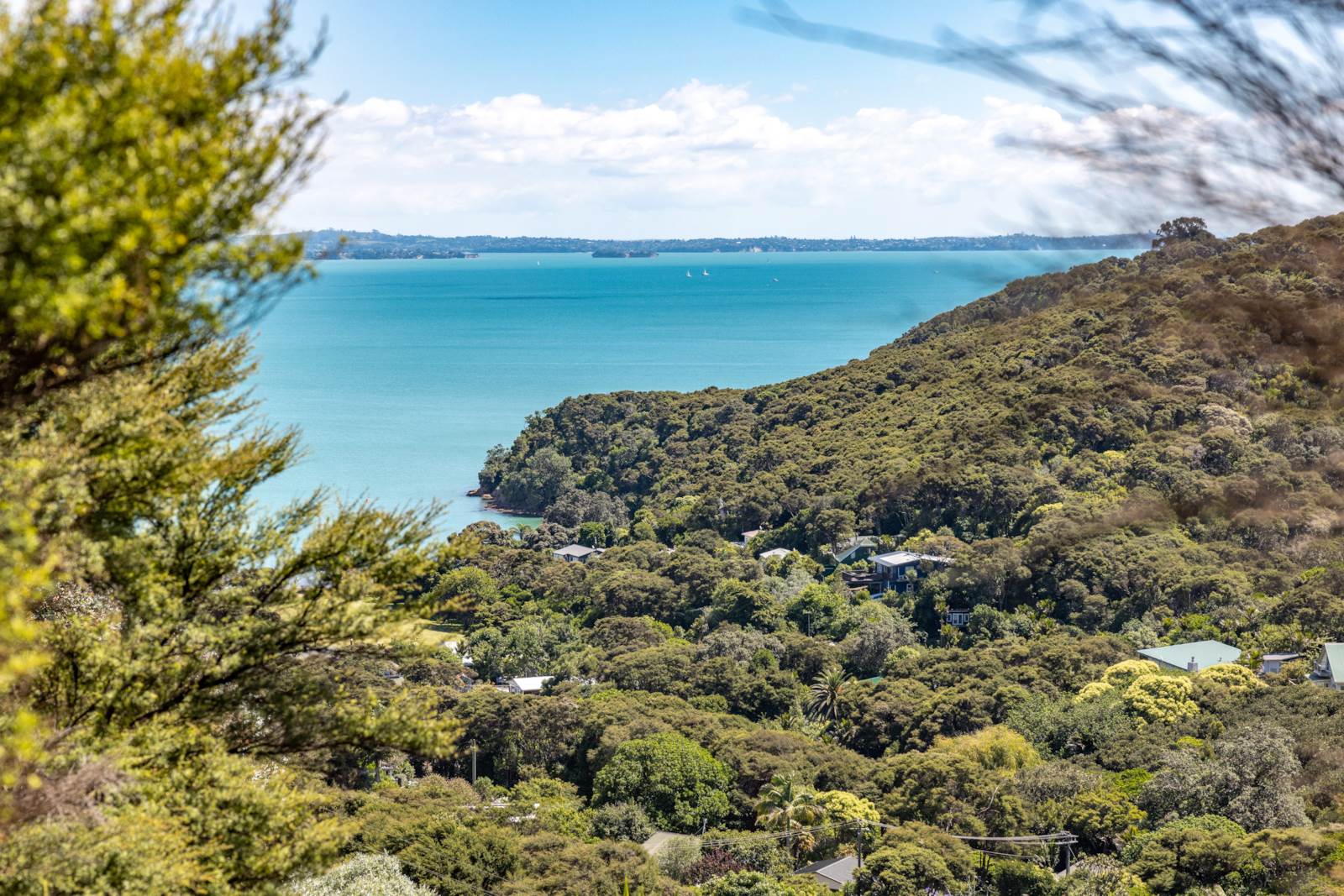 20 Okoka Road, Omiha, Auckland, 4 Bedrooms, 0 Bathrooms, Section