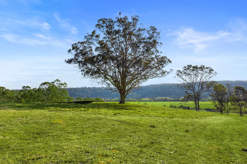 Wallacia 3침실 100-Acre Rural Gem