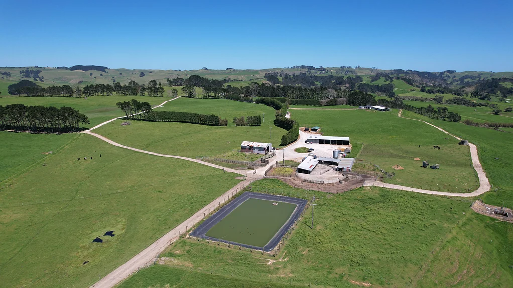 Te Kopuru Productive, Proven & Ready to Perform