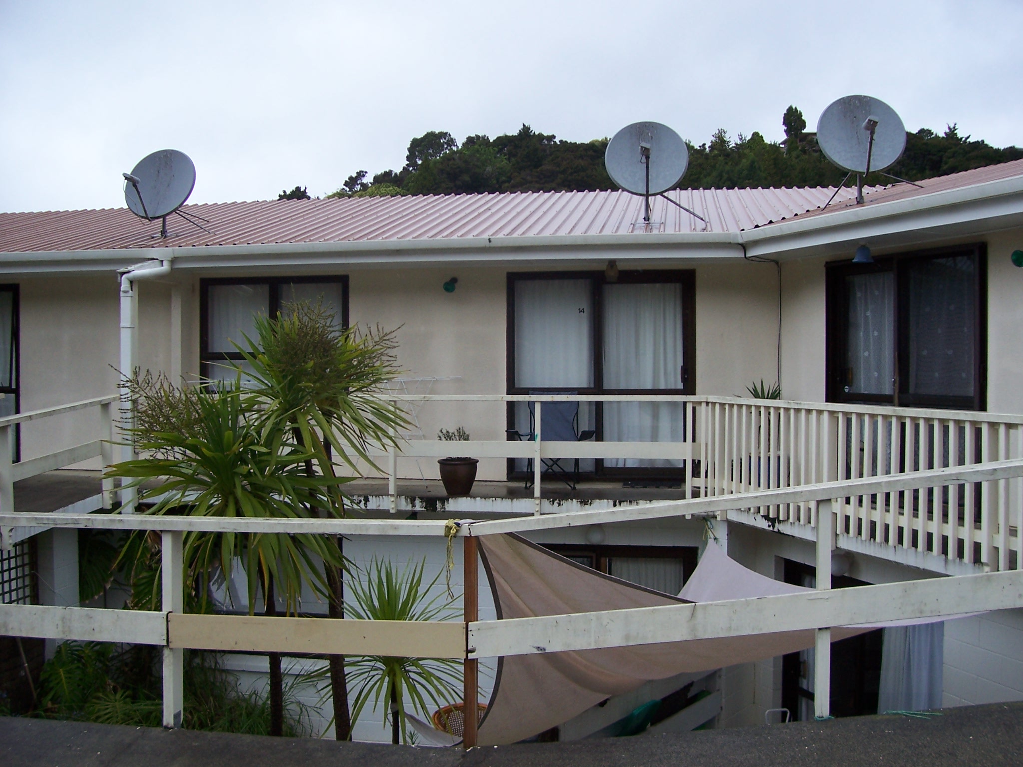 14/75 Williams Road, Paihia, Far North, 1 Kuwarto, 1 Banyo