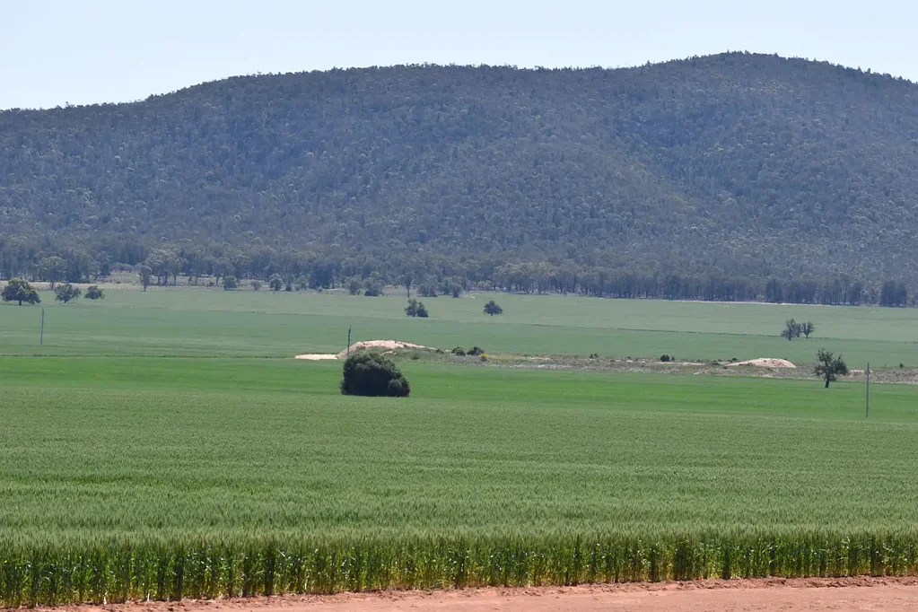 Trundle  2190 Yarrabandai Road offers a great opportunity to purchase a well maintained broad acre cropping operation ready to go.